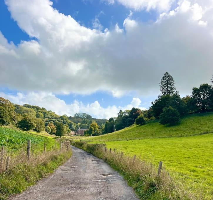 Countryside Converted Barn With Hot Tub Newton Abbot Eksteriør bilde