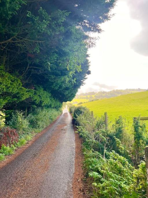 Countryside Converted Barn With Hot Tub Newton Abbot Eksteriør bilde